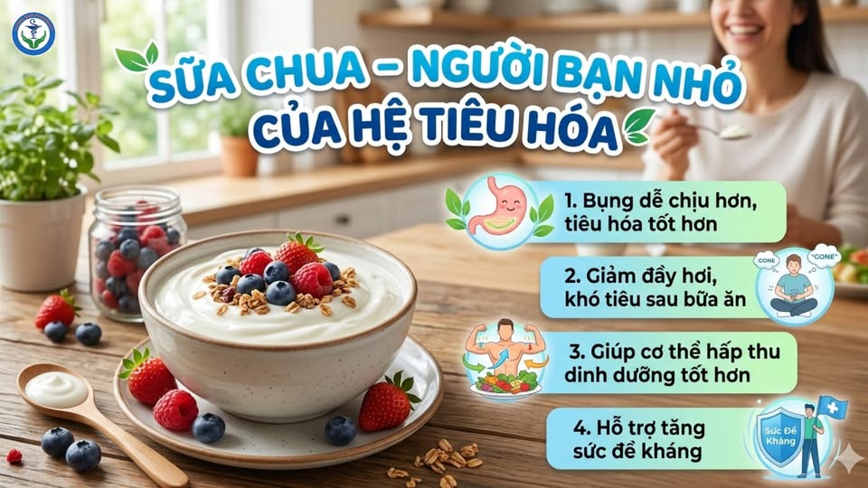 Sữa Chua – Món Ăn Nhỏ Nhưng Lợi Ích Lớn Cho Hệ Tiêu Hóa Tuổi Xế Chiều